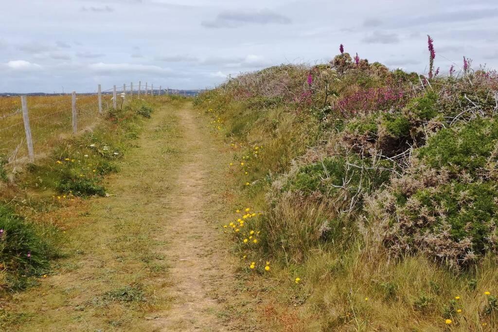 Farm Accommodation - The Lizard Peninsula, Cornwall Helston Εξωτερικό φωτογραφία