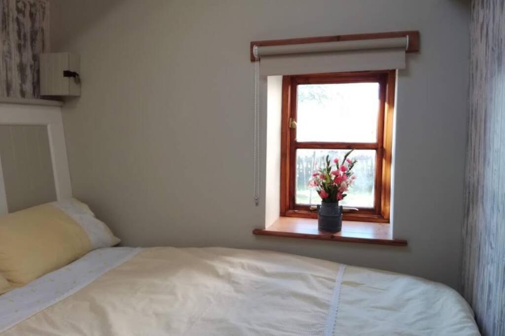 Farm Accommodation - The Lizard Peninsula, Cornwall Helston Εξωτερικό φωτογραφία
