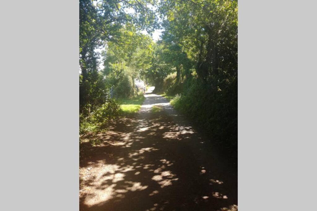 Farm Accommodation - The Lizard Peninsula, Cornwall Helston Εξωτερικό φωτογραφία