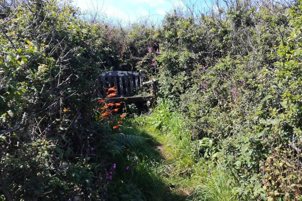 Farm Accommodation - The Lizard Peninsula, Cornwall Helston Εξωτερικό φωτογραφία