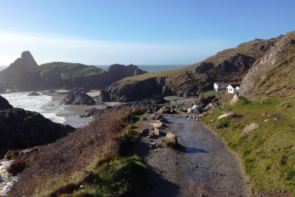 Farm Accommodation - The Lizard Peninsula, Cornwall Helston Εξωτερικό φωτογραφία