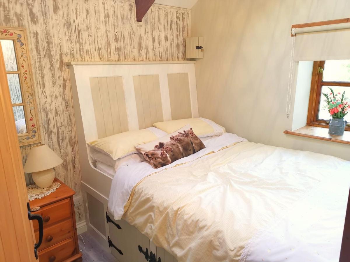 Farm Accommodation - The Lizard Peninsula, Cornwall Helston Εξωτερικό φωτογραφία