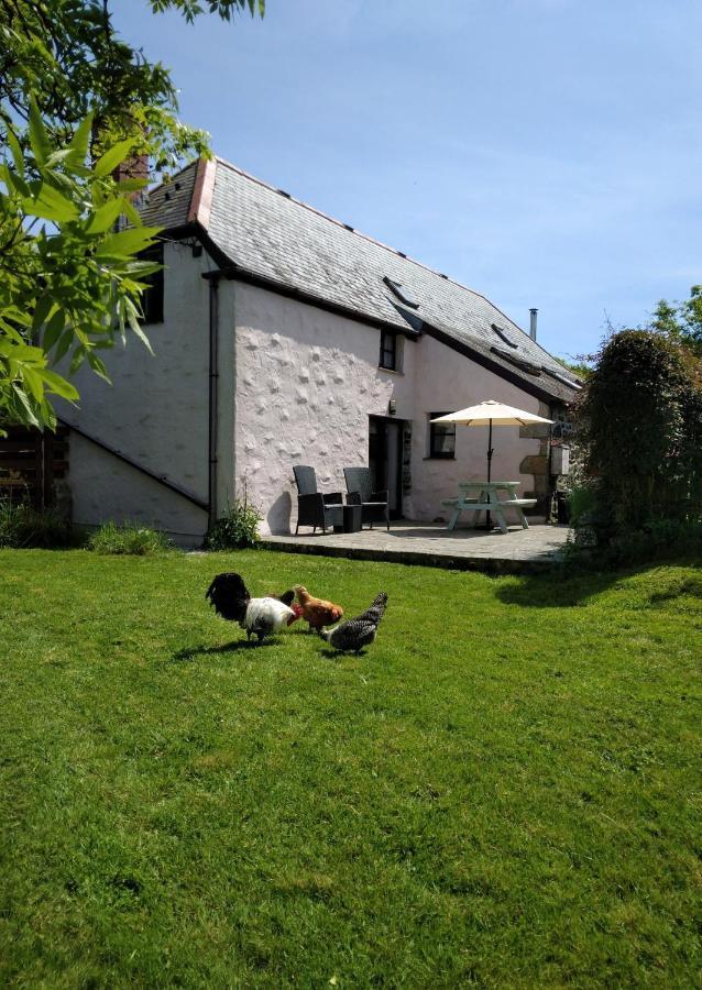 Farm Accommodation - The Lizard Peninsula, Cornwall Helston Εξωτερικό φωτογραφία