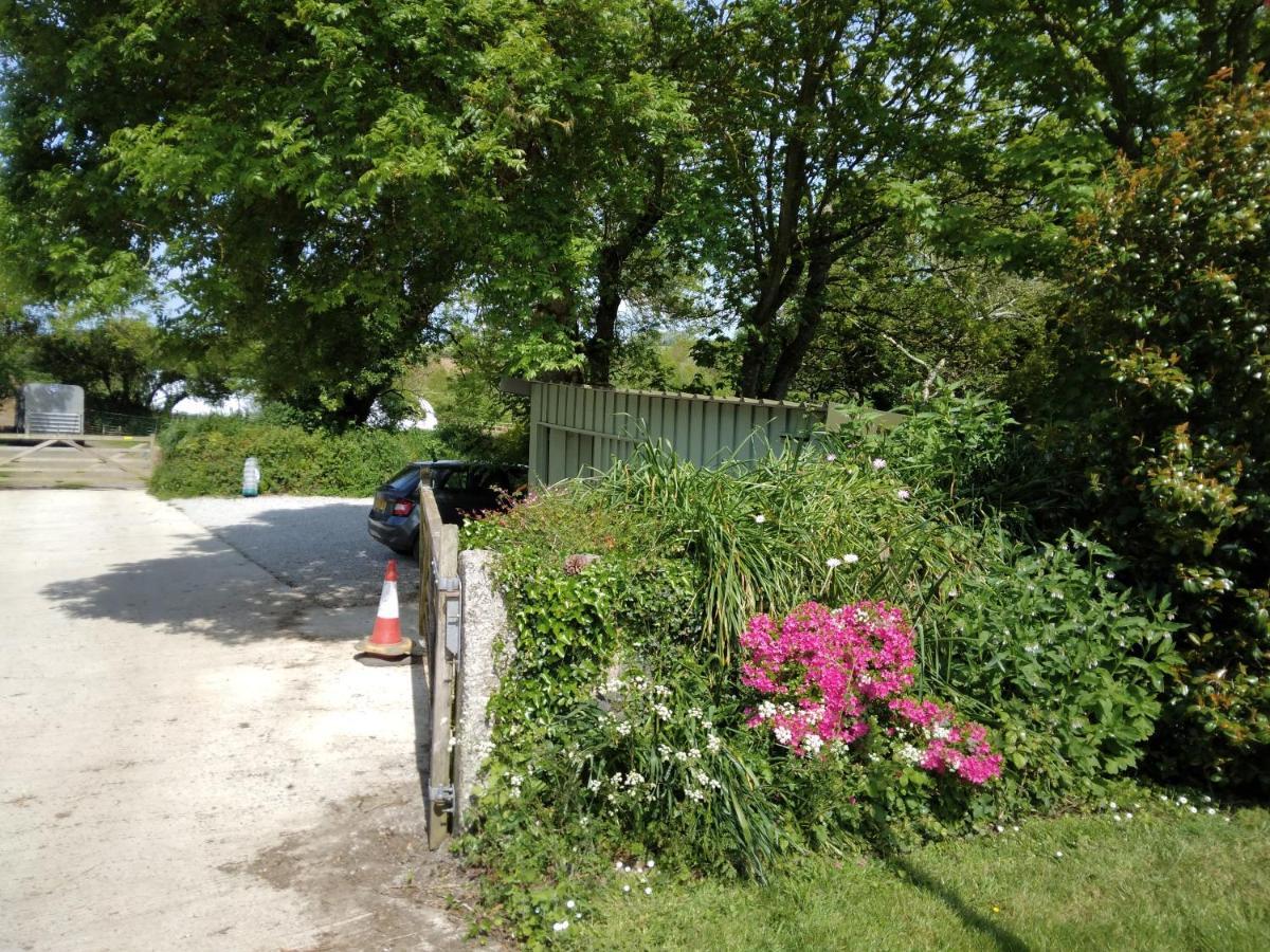 Farm Accommodation - The Lizard Peninsula, Cornwall Helston Εξωτερικό φωτογραφία